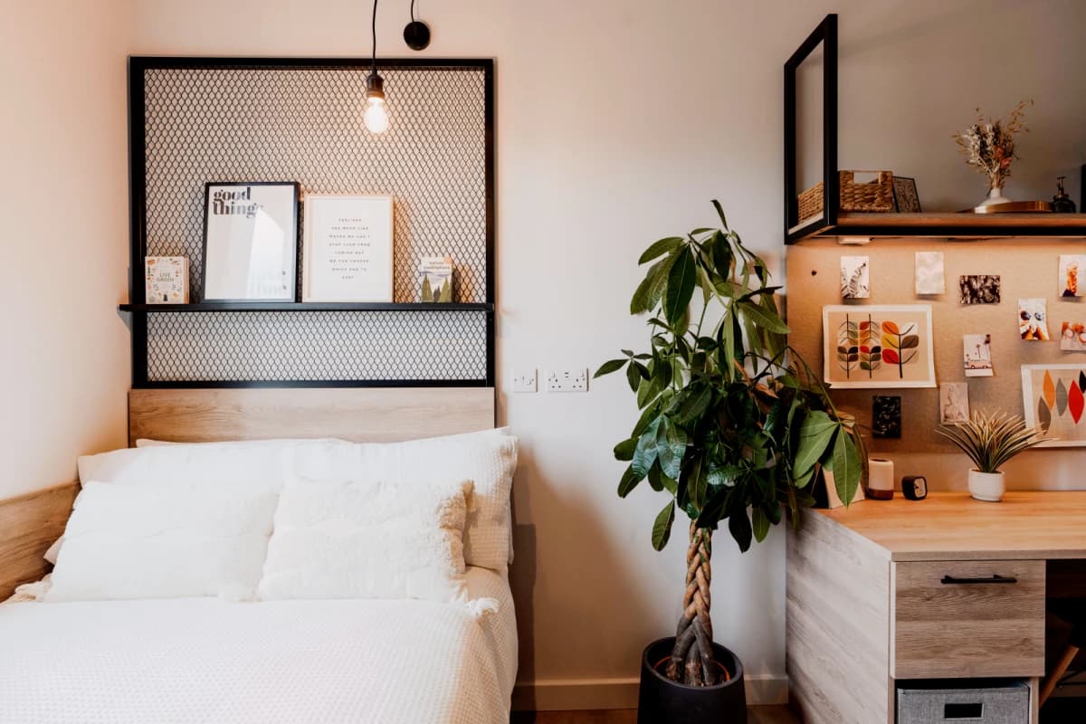 YourTRIBE Southwark image