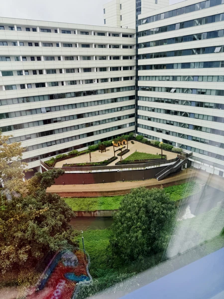 The Helix image