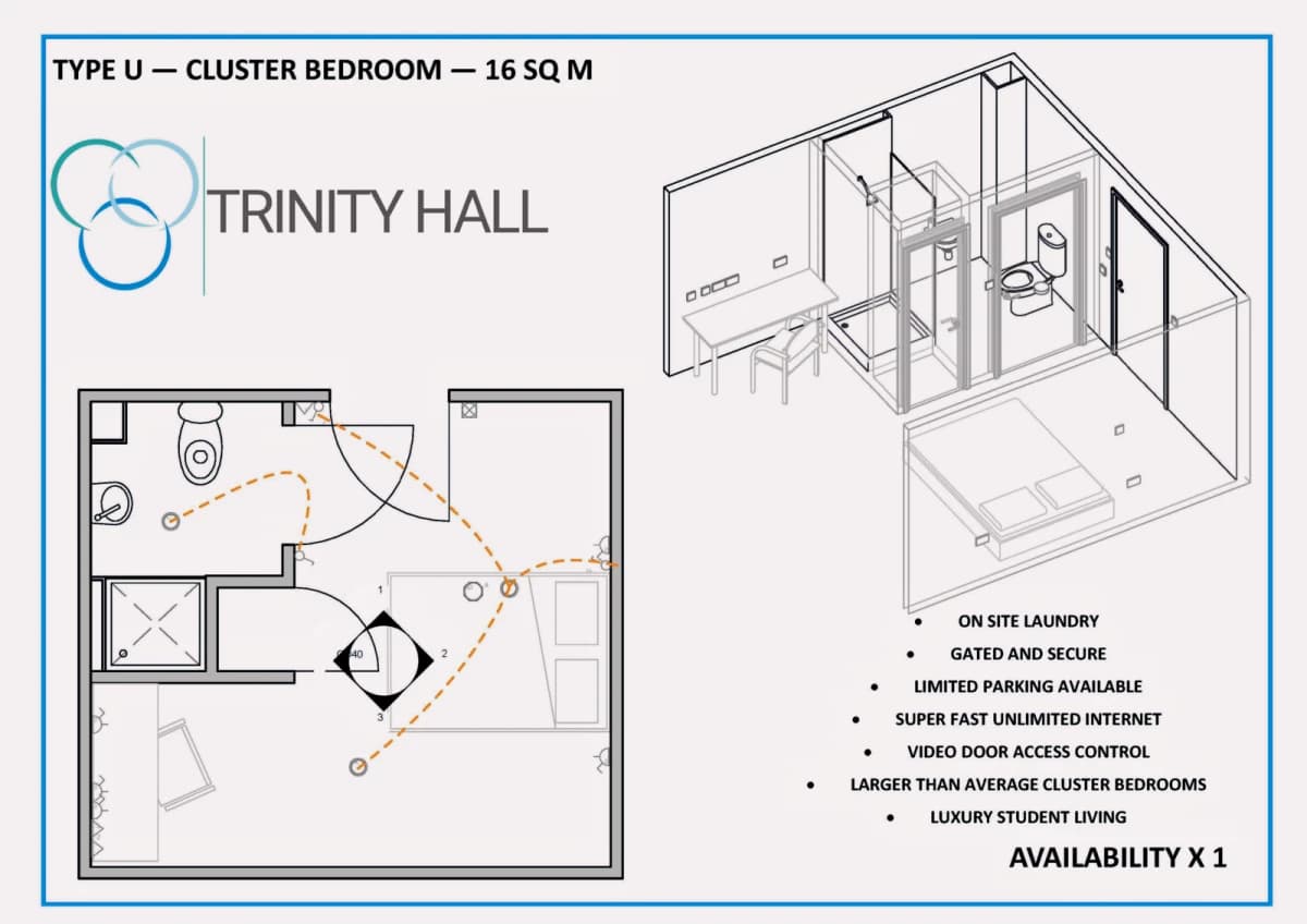 Trinity Hall image 2