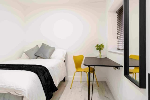 103 Adelaide road, L7 image 5