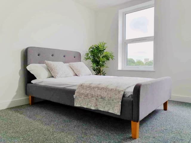 The loft – 165 Smithdown road, L15 image 5