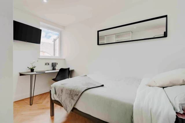 141 Albert Edward Road L7 image