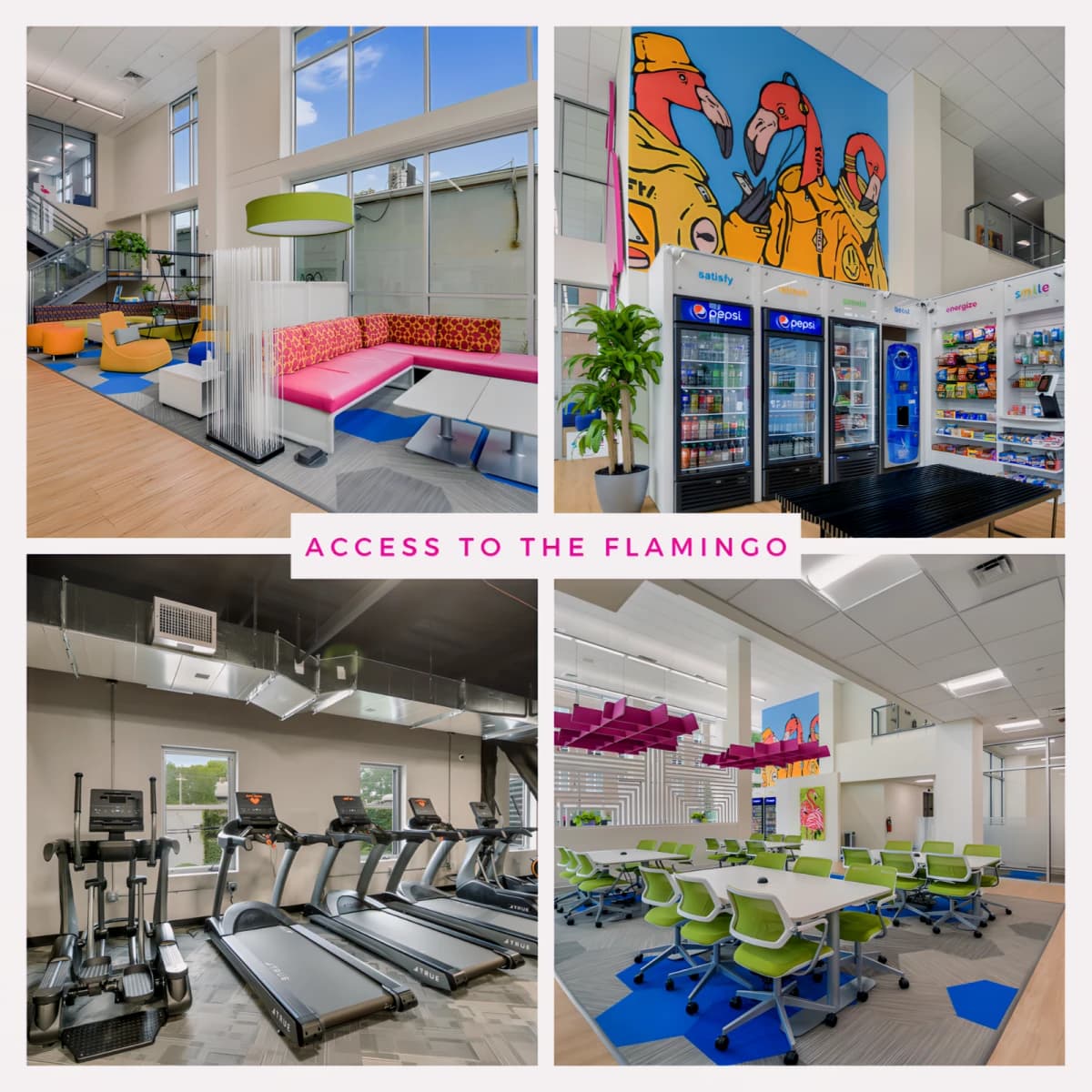 1010 W Stoughton, Urbana, IL 61801 image