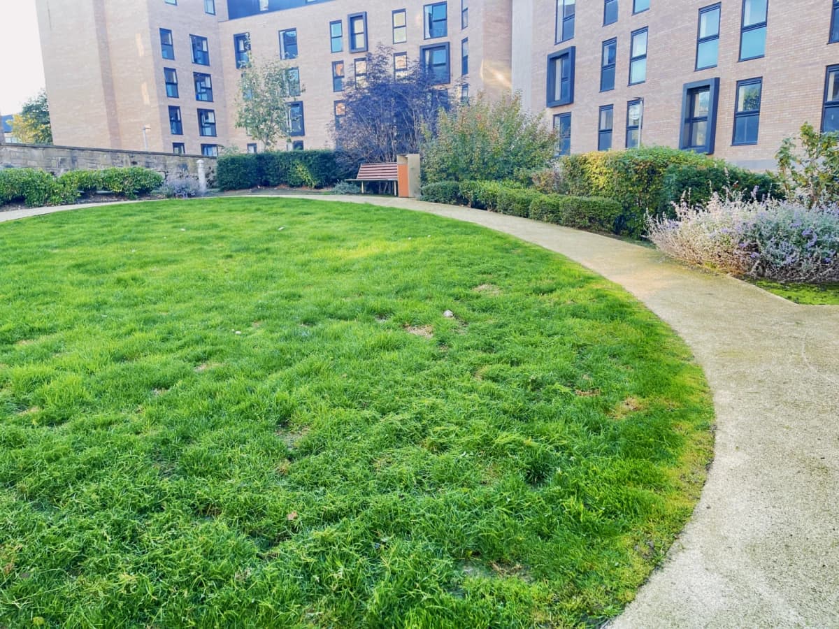 Outdoor Features