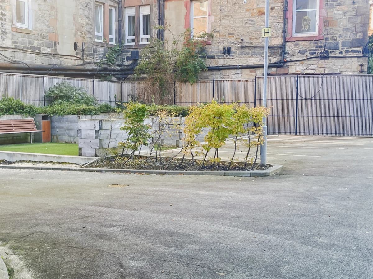 Downing New Park image
