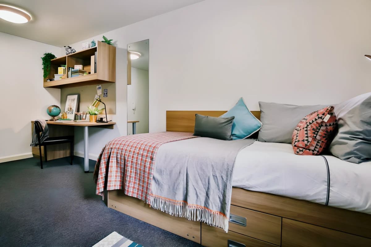 Classic Shared Apartment