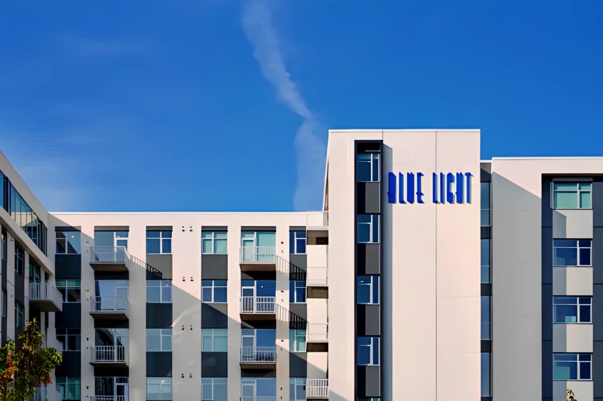 The Blue Light Living image
