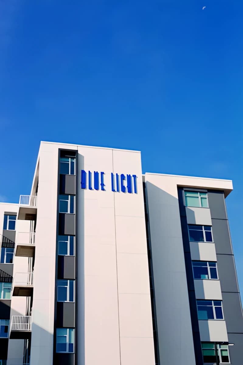 The Blue Light Living image