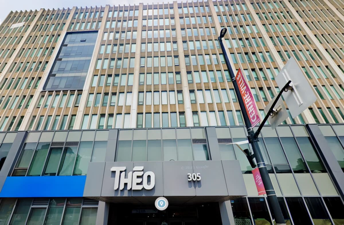 THEO image 3