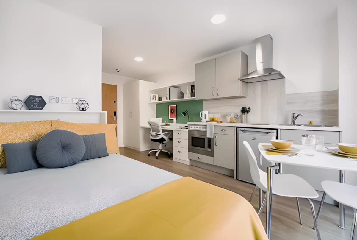 Studio Gold - Accessible