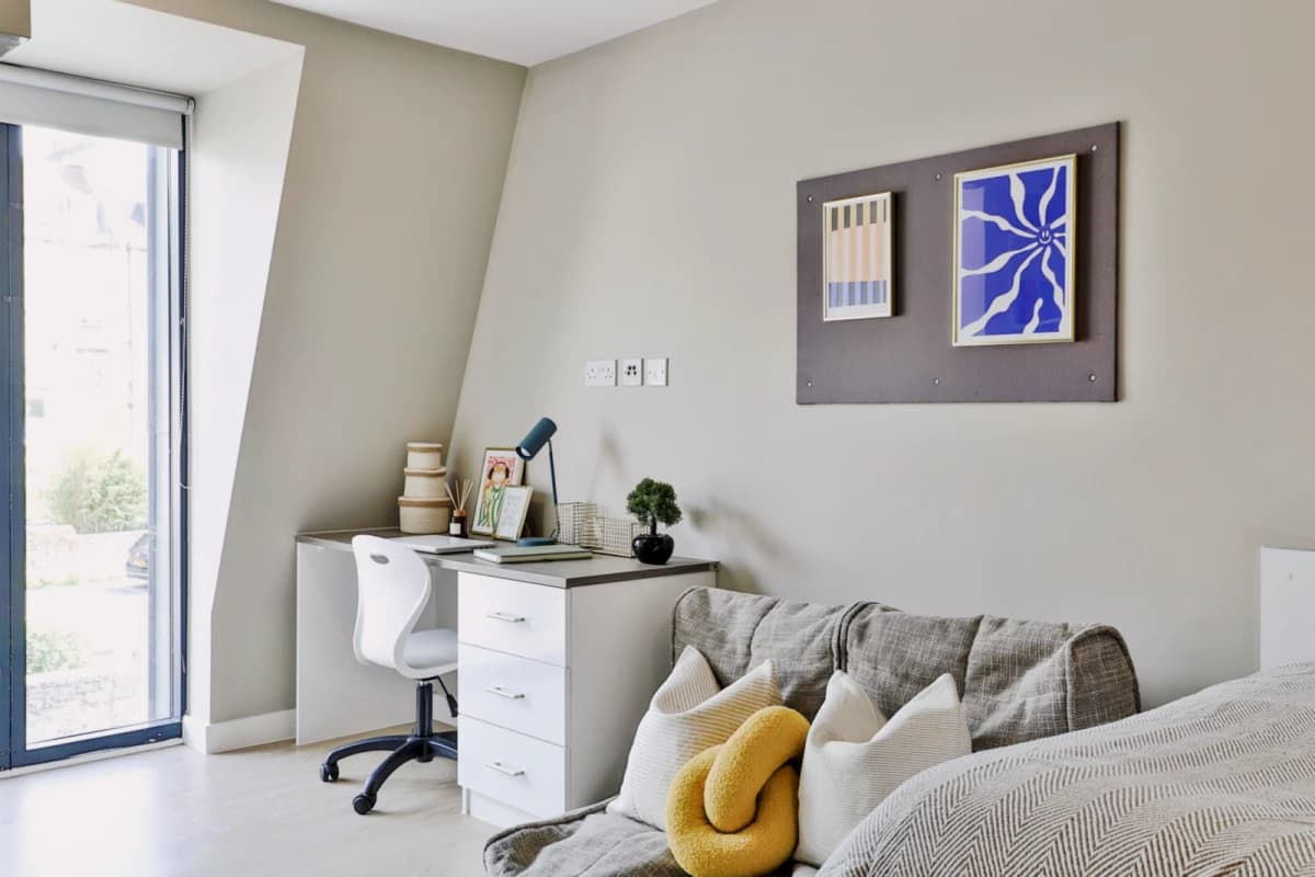 Classic Shared Apartment