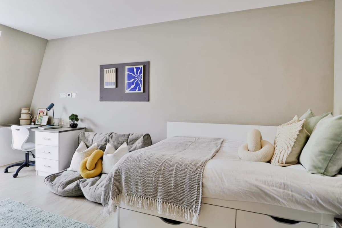 Classic Shared Apartment