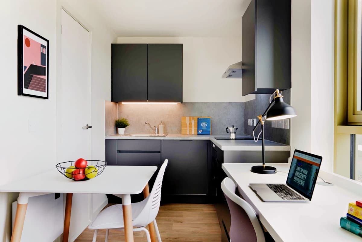 Bronze Studio - Single Occupancy