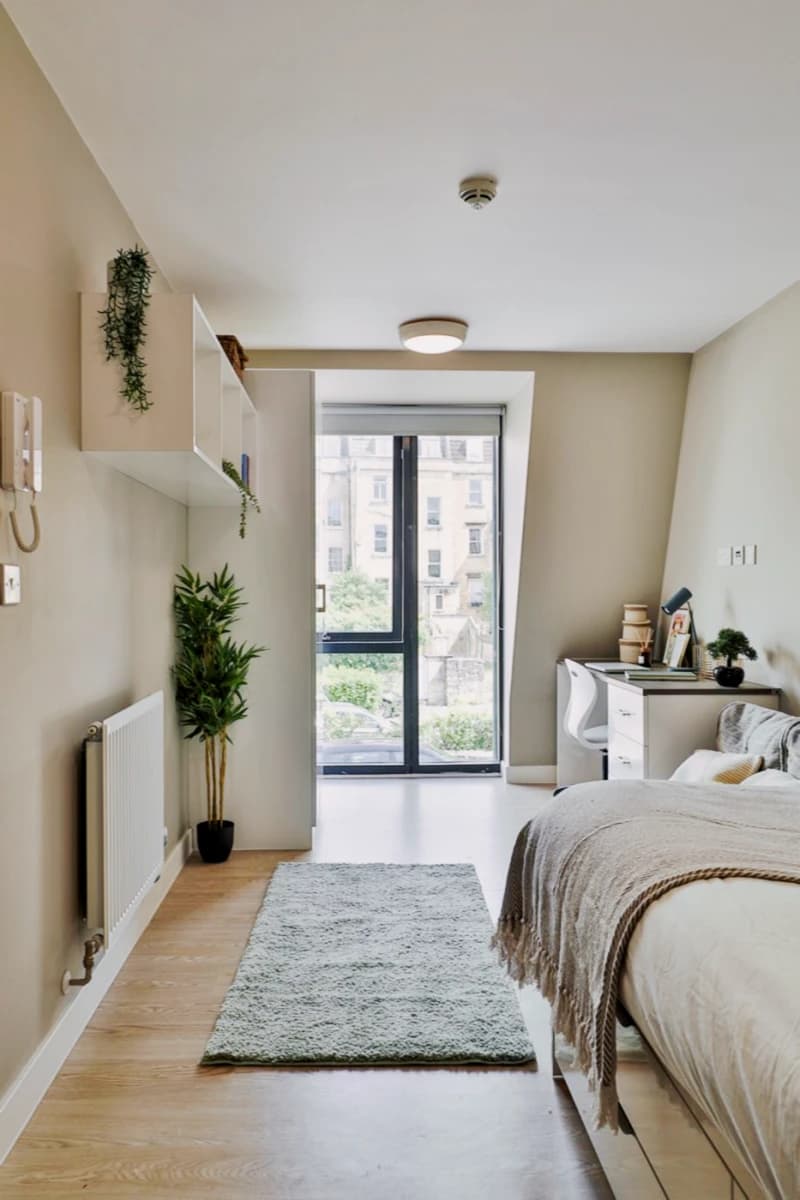 Classic Shared Apartment