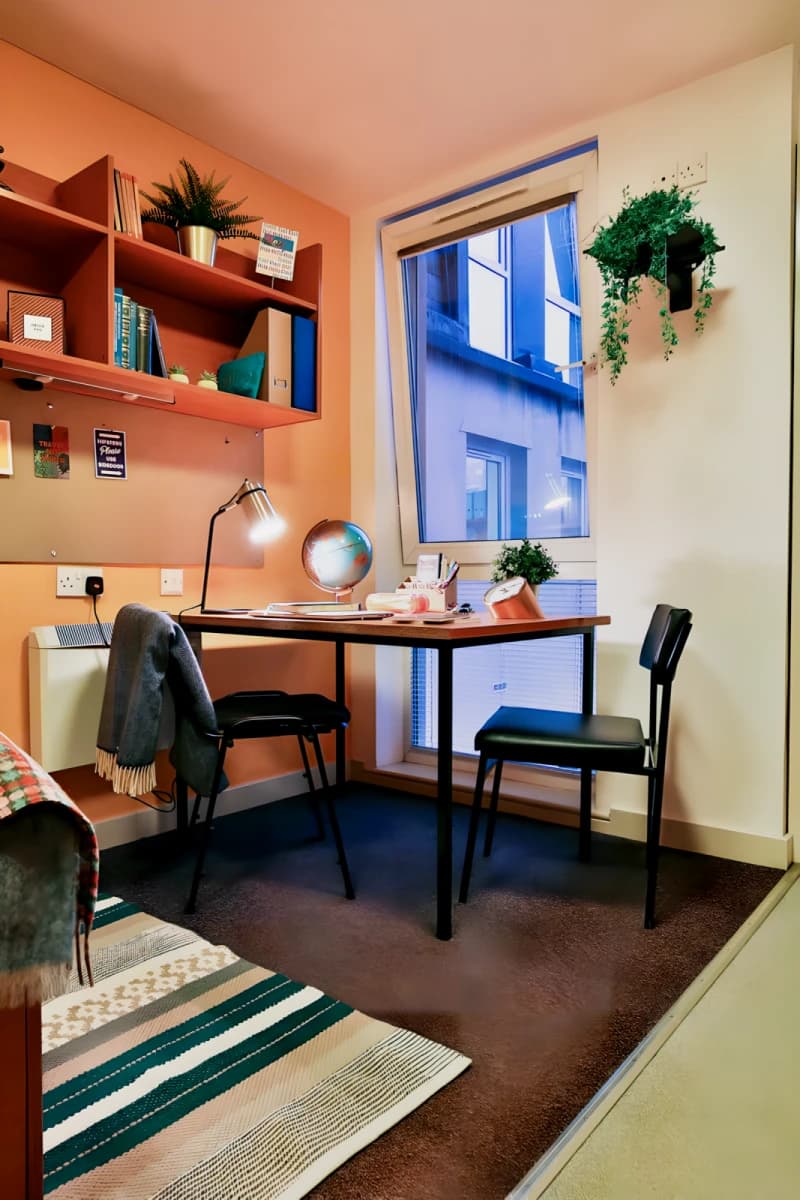 Classic Shared Apartment