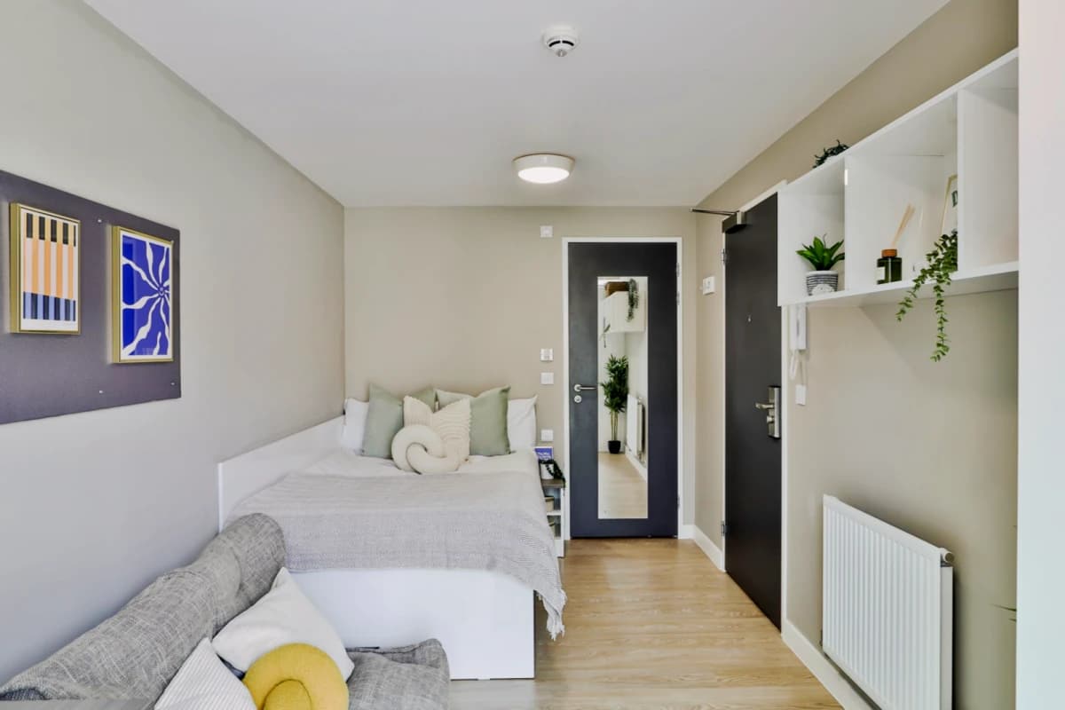 Classic Shared Apartment