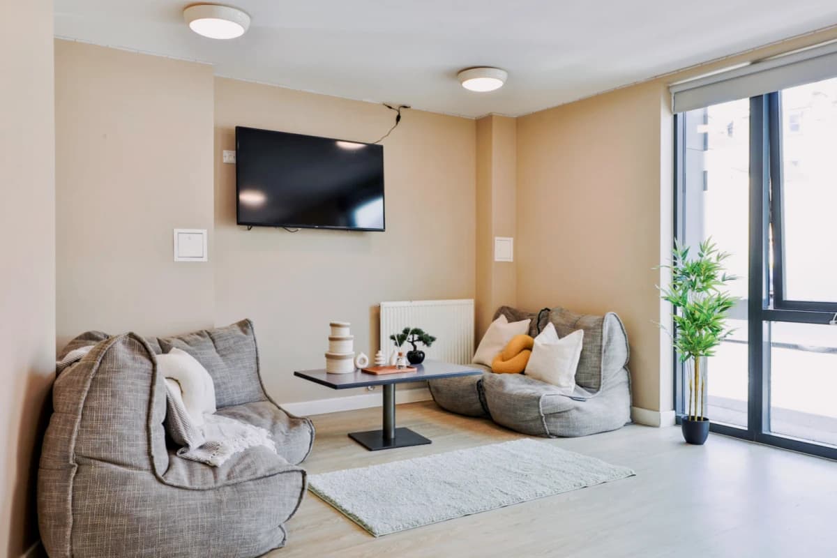Classic Shared Apartment