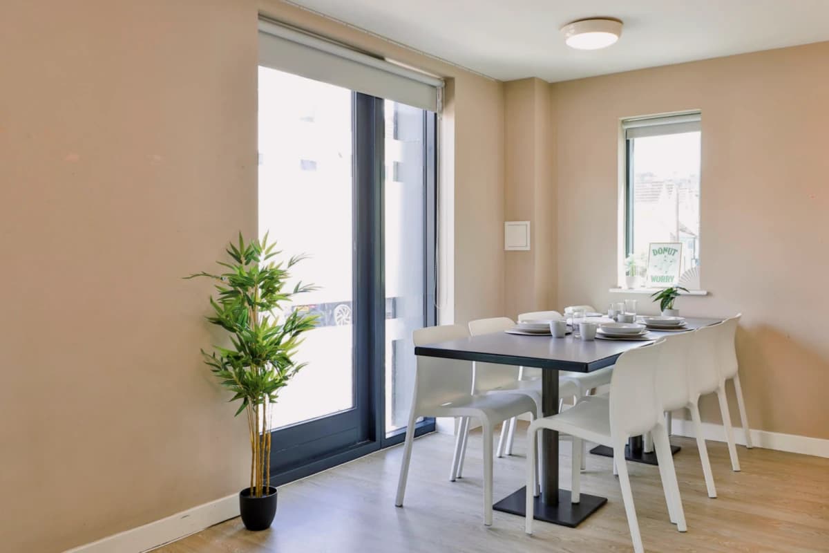 Classic Shared Apartment