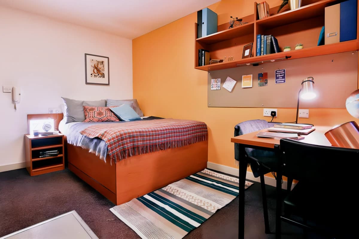 Classic Shared Apartment