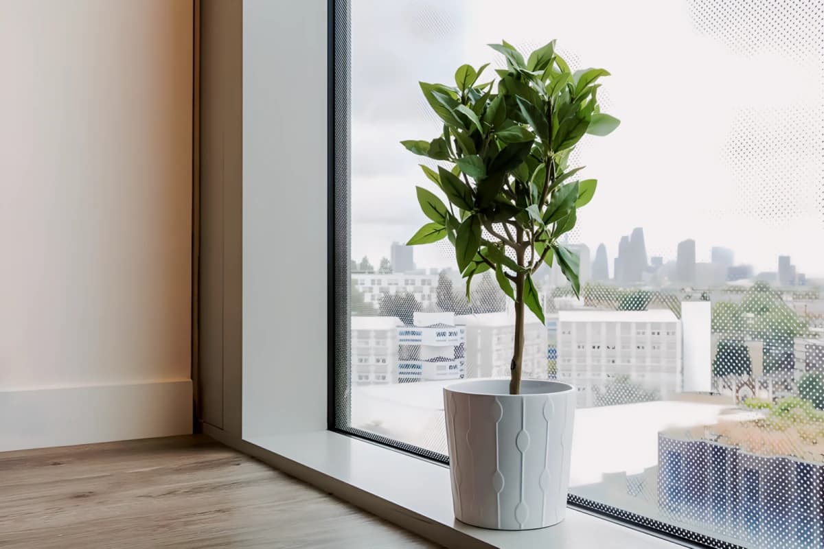 Gob Kings Cross Residence image