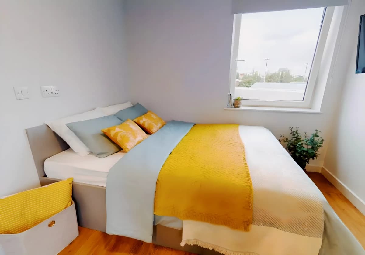 iQ Collingwood image