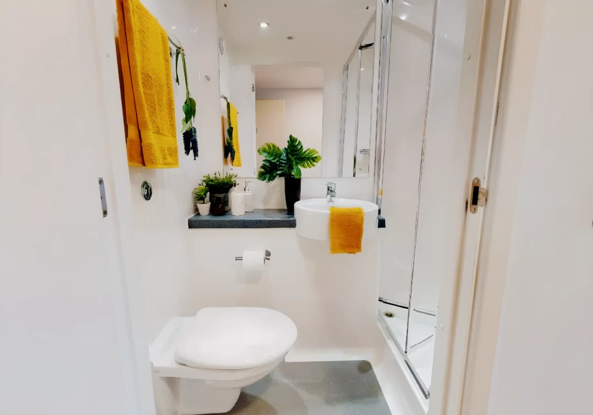 iQ Collingwood image 4