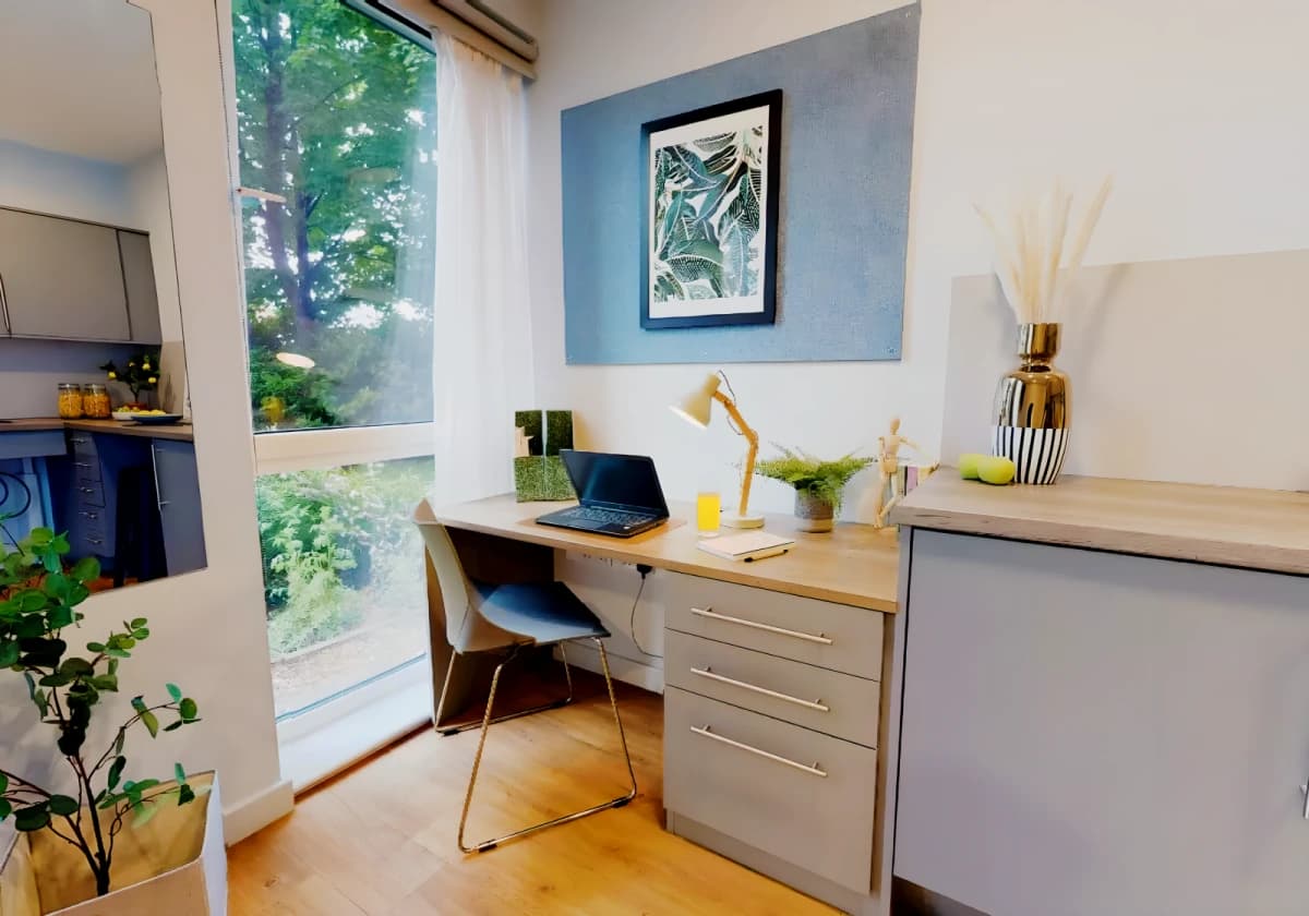 iQ Collingwood image