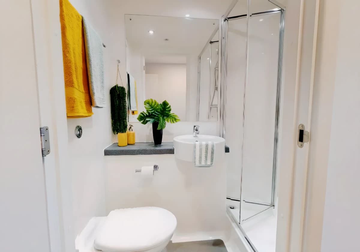 iQ Collingwood image 5