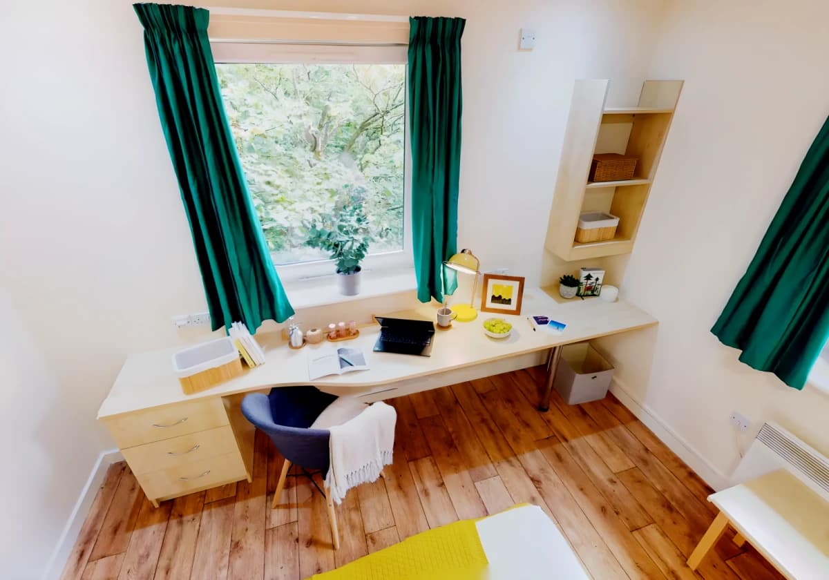 Gold Studio Plus