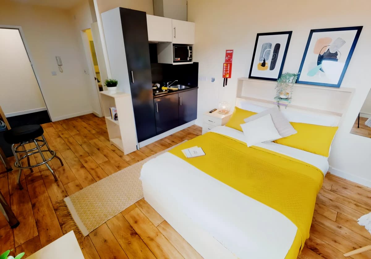 Gold Studio Plus