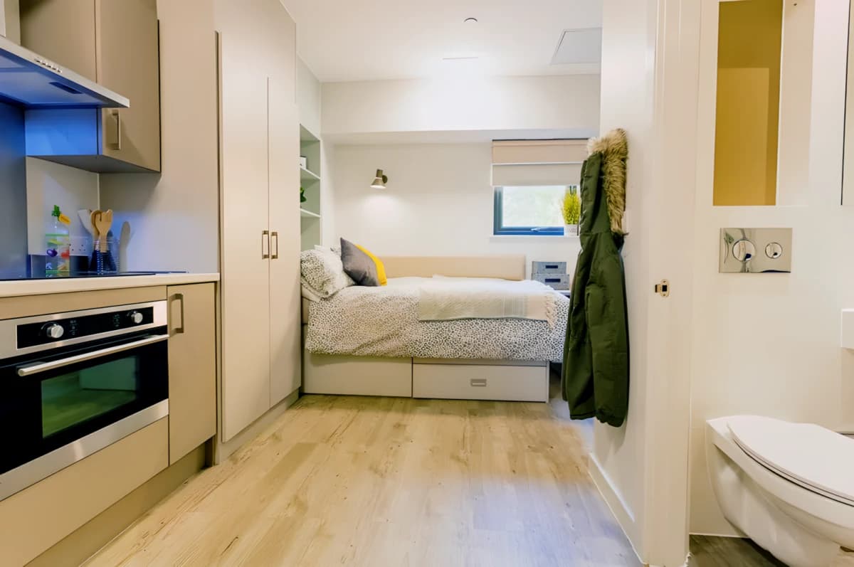 Seren Swansea image