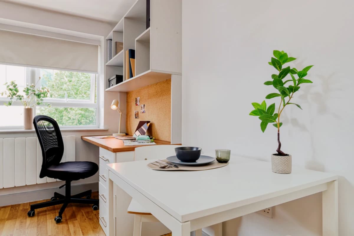 Standard Studio