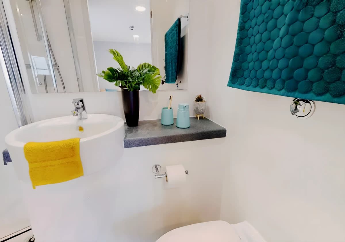 iQ Collingwood image