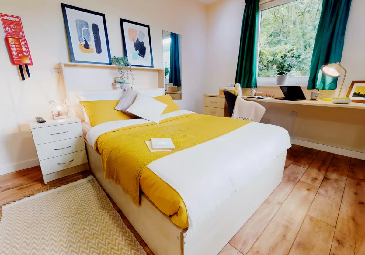 Gold Studio Plus