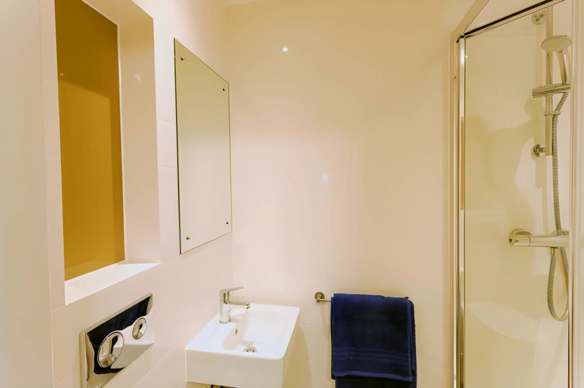 Seren Swansea image
