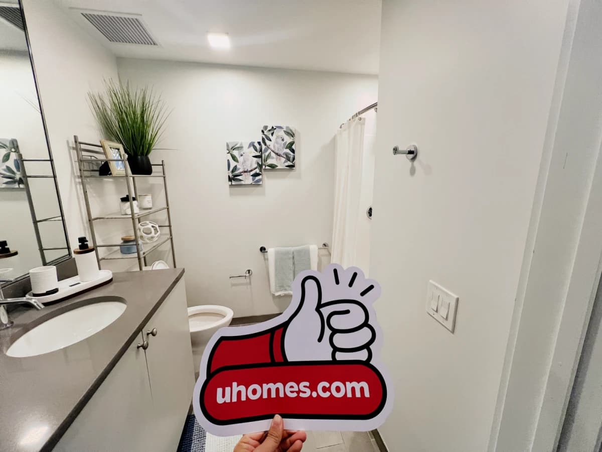 The Nest image