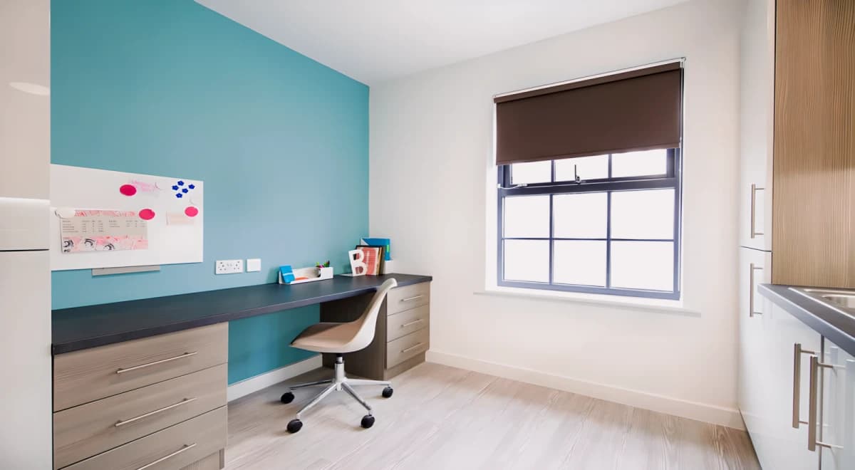 Premium Plus Studio