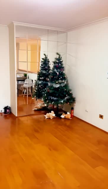 3 bed 1 bath