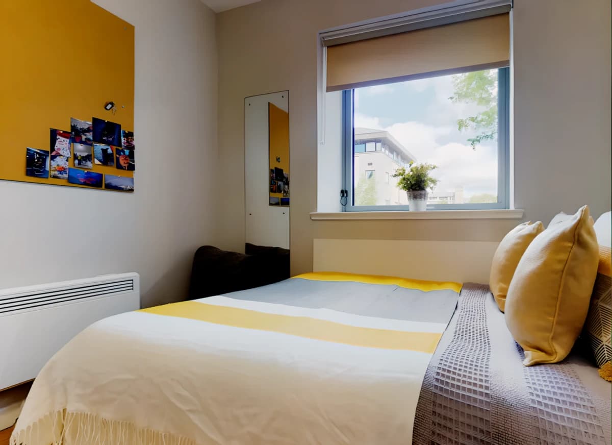 Centro House image