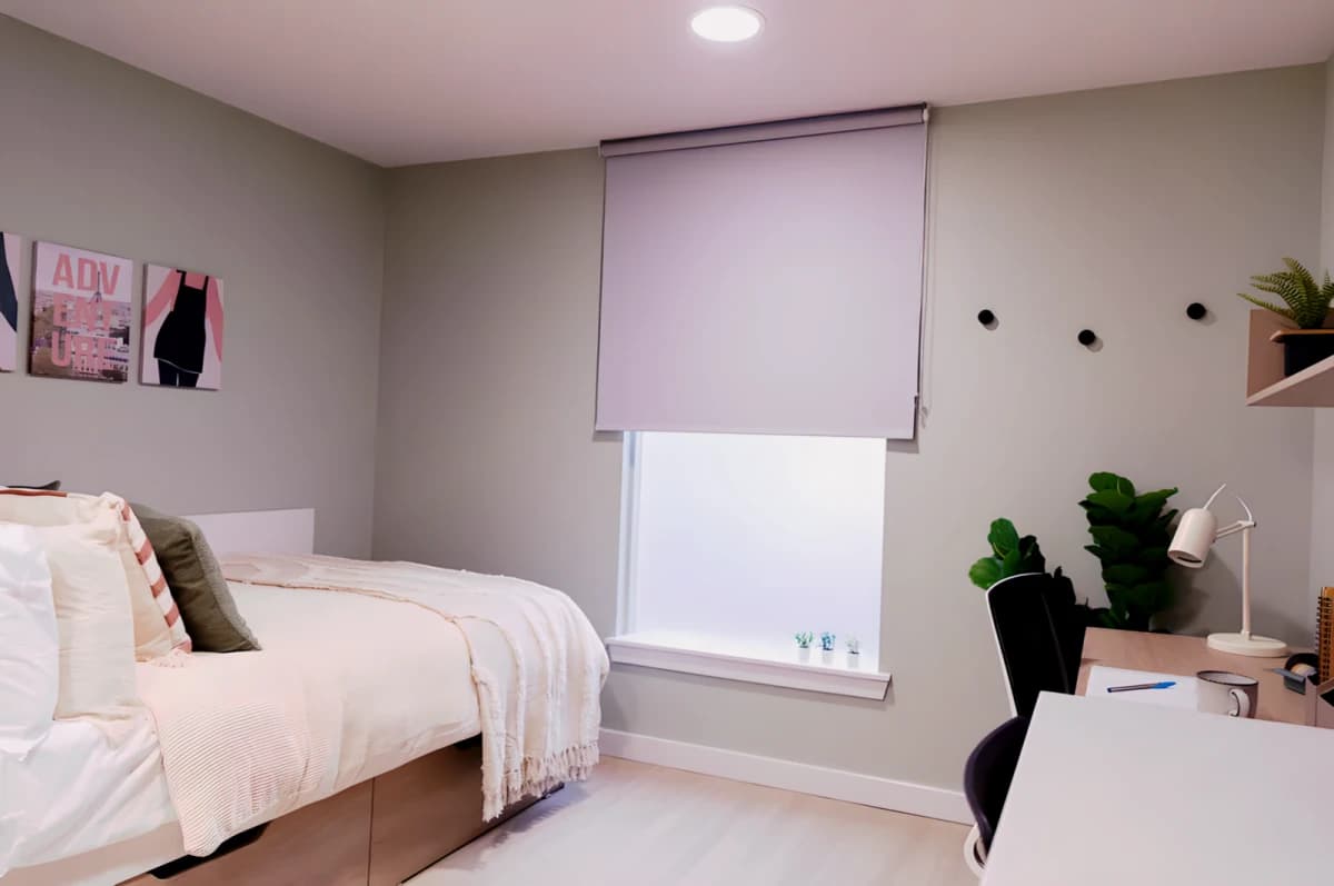 Diamond Studio
