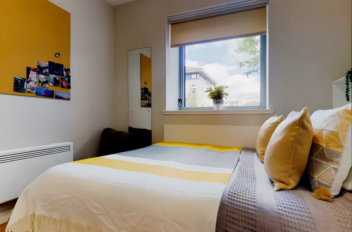 Centro House image