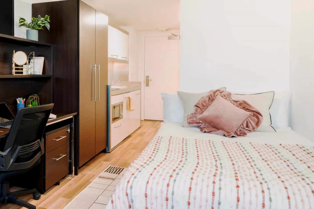 Lnt Chapter Portobelloy image