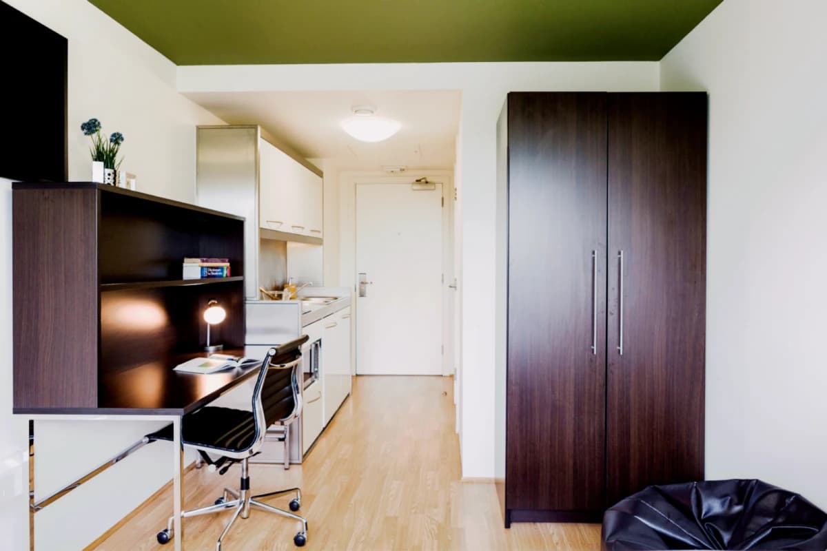 Lnt Chapter Portobelloy image