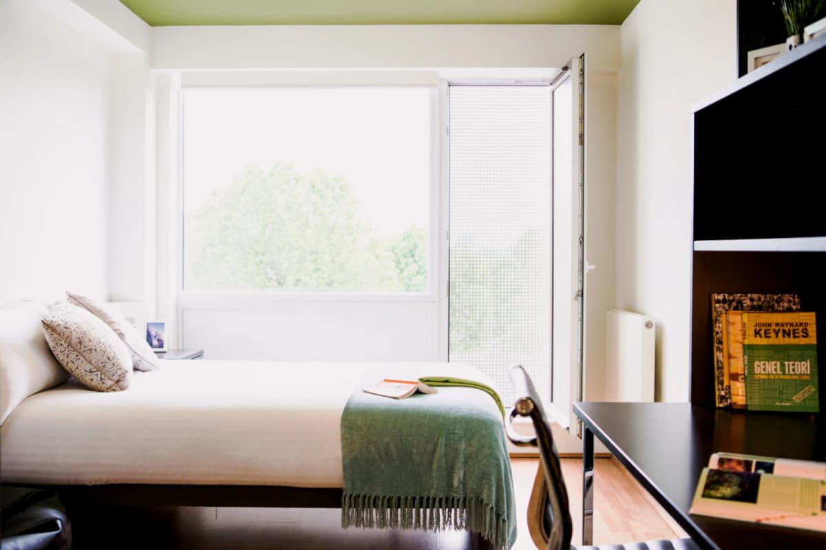 Lnt Chapter Portobelloy image