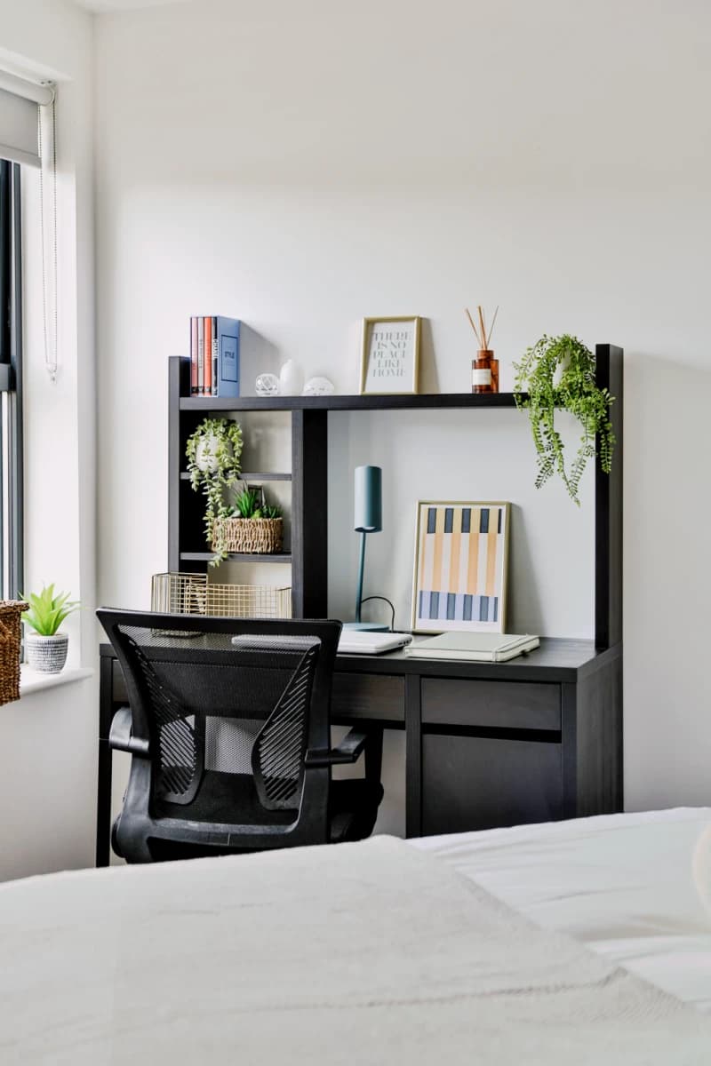 Classic Shared Apartment
