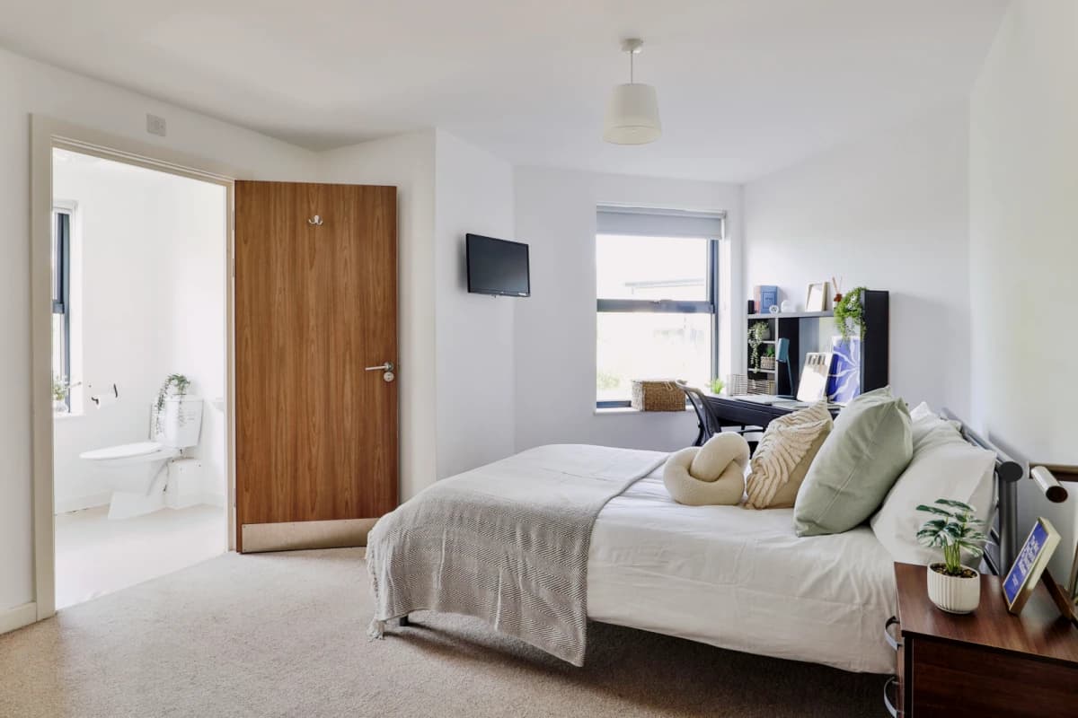 Classic Bigger Shared Apartment