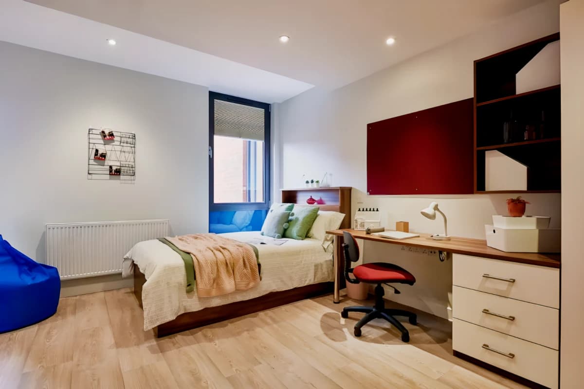 Luxury Studio