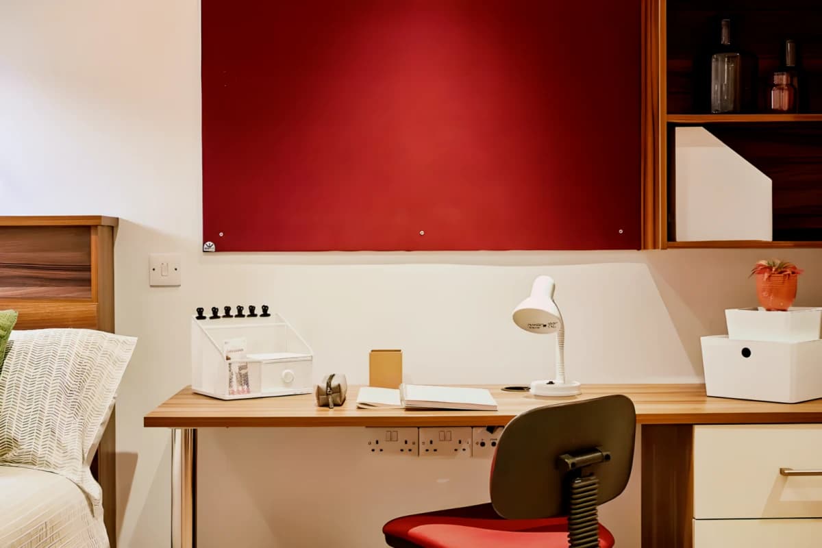 Luxury Studio