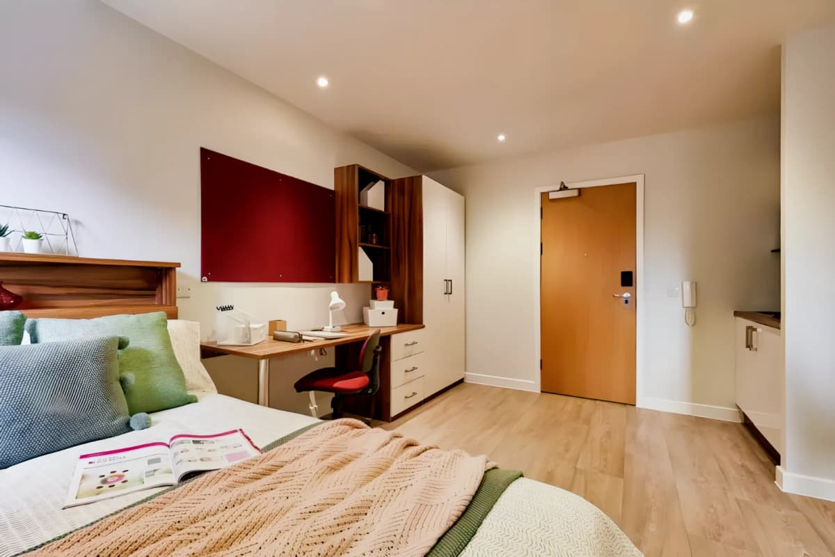 Luxury Studio