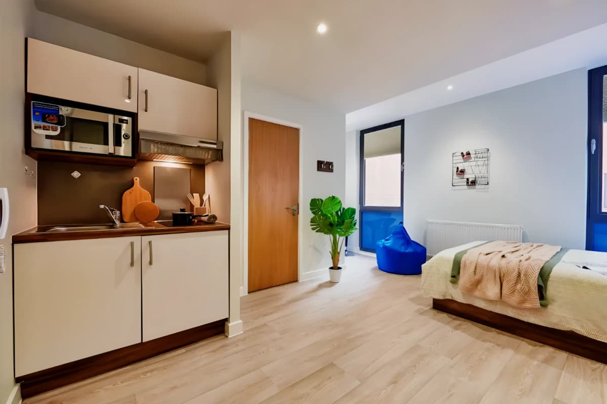 Luxury Studio